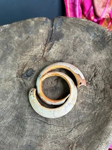 Old Papua New Guinea Boars Ceremonial Ear Rings …beautiful collection and accent - Picture 1 of 8