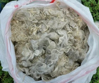 Raw Mohair Spinning, Felting, Reborn Dolls 16 oz. =1 lb.=$2 per oz. - Image 1 of 4