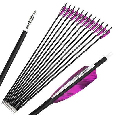 28" 30'' 31" Archery Carbon Arrows SP500 4" Turkey Feathers Bow Hunting Target - Image 1 of 4