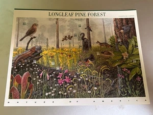 Longleaf Pine Forest First Day Of Issue 2001 - Picture 1 of 2