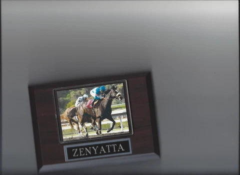 ZENYATTA PLAQUE HORSE RACING TURF Cover