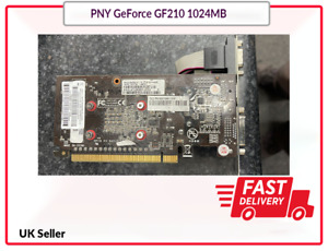 Cheap PNY GeForce GF210 1024MB 1GB DDR3 PCI-E Video Graphics Card HDMI/DVI Ports