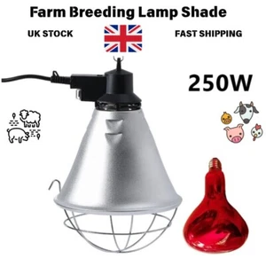 250W Infrared Heat Lamp with Bulb - For Poultry Chicks Puppies Kittens Piglets - Picture 1 of 16
