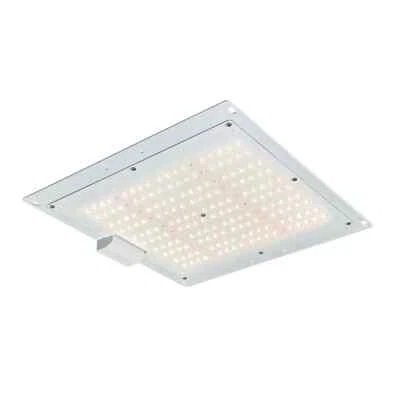 GrowBright EC-1000 LED Luz de Crecimiento Espectro Completo Alta Eficiencia de 2.2 μmol/J. Foto 1 de 4