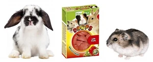 Small Animal Rodents Treats Fruits Flavor Biscuit Drops Rabbits Mice Guinea Pig - Picture 1 of 4