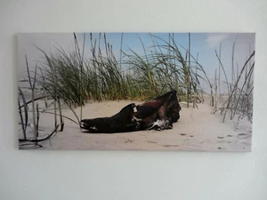 Foto auf Leinwand, Schuh in Dünenlandschaft, Stillleben, Original - Bild 1 von 3