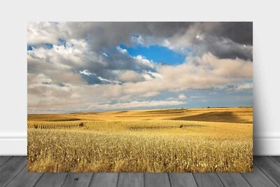 Corn Field Metal Print: Iowa Midwest Autumn Farm Country Landscape Wall Art - Image 1 of 4