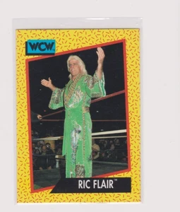 Impel WCW #45 1991 Ric Flair. WWE, lucha libre - Imagen 1 de 1