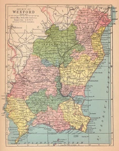 COUNTY WEXFORD antique map. Leinster. Ireland. JOYCE 1905 old - Picture 1 of 1