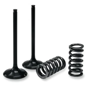Pro-X Steel Intake Valve and Spring Kit for 2004-2009 Yamaha YFZ450 ATV - Picture 1 of 2