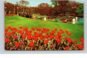 Postal Jardines Públicos Boston Massachusetts Swan Boats Tulipanes - Imagen 1 de 2