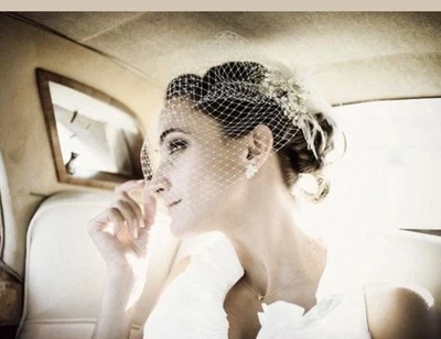 Lauren Elaine Vintage Birdcage French Net Wedding Veil Feathers Crystals  - Image 1 of 4