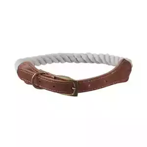 Koolaburra by UGG Hundehalsband Small Soft Aqua - Bild 1 von 1