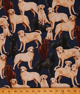 Cotton Dogs Breeds Labrador Retriever Puppies Fabric Print by the Yard D758.42