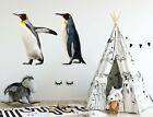 3D Penguin Antarctica 04NA Animal Wallpaper Mural Poster Wall Stickers Decal Zoe