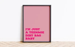 I'm Just A Teenage Dirtbag Baby Prints, Quote Poster, Lyrics Art Music Wall Art - Picture 1 of 18