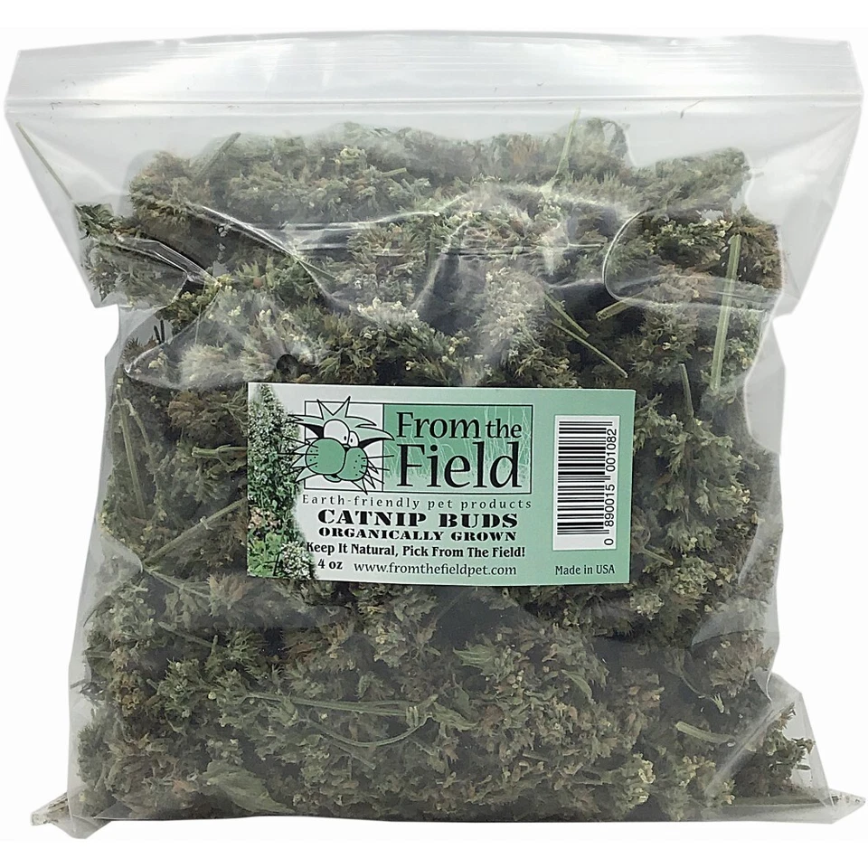 From The Field Organic Catnip Buds Bulk Bag 4 Oz American Grown Dried USA Bud - Image 1 of 1