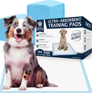 Ultra Absorbent Odor Control Scented Training Pads for Dogs Leak-Proof Quick Dry - Picture 1 of 12