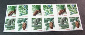 US Stamp Booklet Pane Scott# 4481b Holiday Evergreens  2010 MNH H372 - Picture 1 of 1