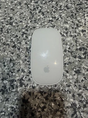 Ratón inalámbrico multitáctil Apple A1296 - Usado Foto 1 de 3