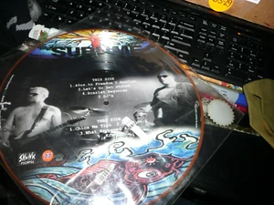 record LP Sublime Picture disc 1of 4 Limited edition - Skunk 40 oz. Ska punk NM- - Picture 1 of 5