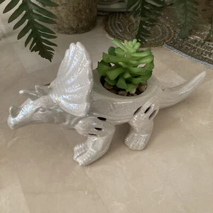 Faux Succulent Plant Dinosaur Character Pot Lemongrass & Ginger Sachet - Picture 1 of 12