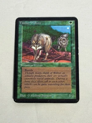 MTG Timber Wolves Alpha Magic the Gathering - Image 1 of 4