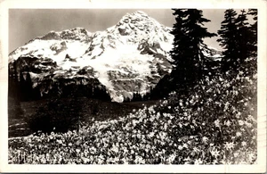 Vtg 1940s Wild Flowers and the Mountain Rainier National Park WA RPPC Postcard - Picture 1 of 2