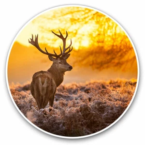 2 x Vinyl Stickers 20cm - Winter Deer Stag Snow Scotland Cool Gift #8110 - Afbeelding 1 van 9
