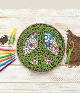 Creatividad para Niños Plant A Peace Jardinería de Interior Artesanía para Niños ¡Edades 6-96! - Imagen 1 de 4