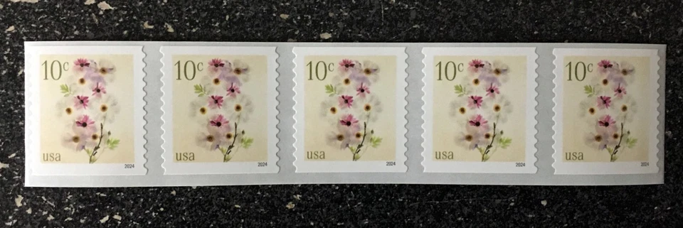 2024USA #5906 10c Poppies & Coneflowers - Coil Strip of 5  Mint  NH    flower - Image 1 of 1