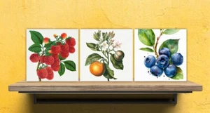 Azulejos de cerámica vintage con estampado de fruta - conjunto de 3 azulejos de decoración de cerámica - azulejos de acento - Imagen 1 de 2
