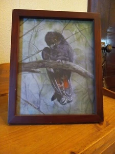 Vintage Original Chalk Black Red Tailed Cockatoo Drawing Signed By Artist 1983 - Picture 1 of 15