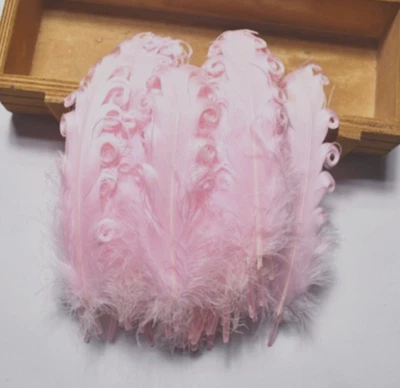 Pink Nagorie Wing Feathers 6 Pc  4-7" Bridal Wedding Corsage Hat Decor Craft - Image 1 of 4