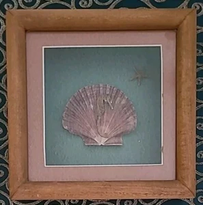 Seahorse Beach Decor -Shadow Box Wood Frame - 8" x 8” Wall Decor - Picture 1 of 6