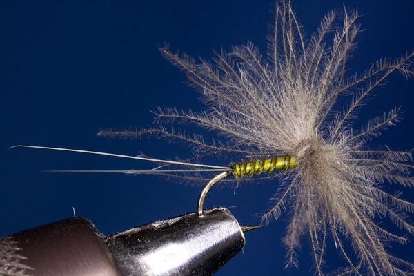 Fliegentom Trockenfliege - 3 Stück Olive CDC-Spent mit Biotskörper - Bild 1 von 1