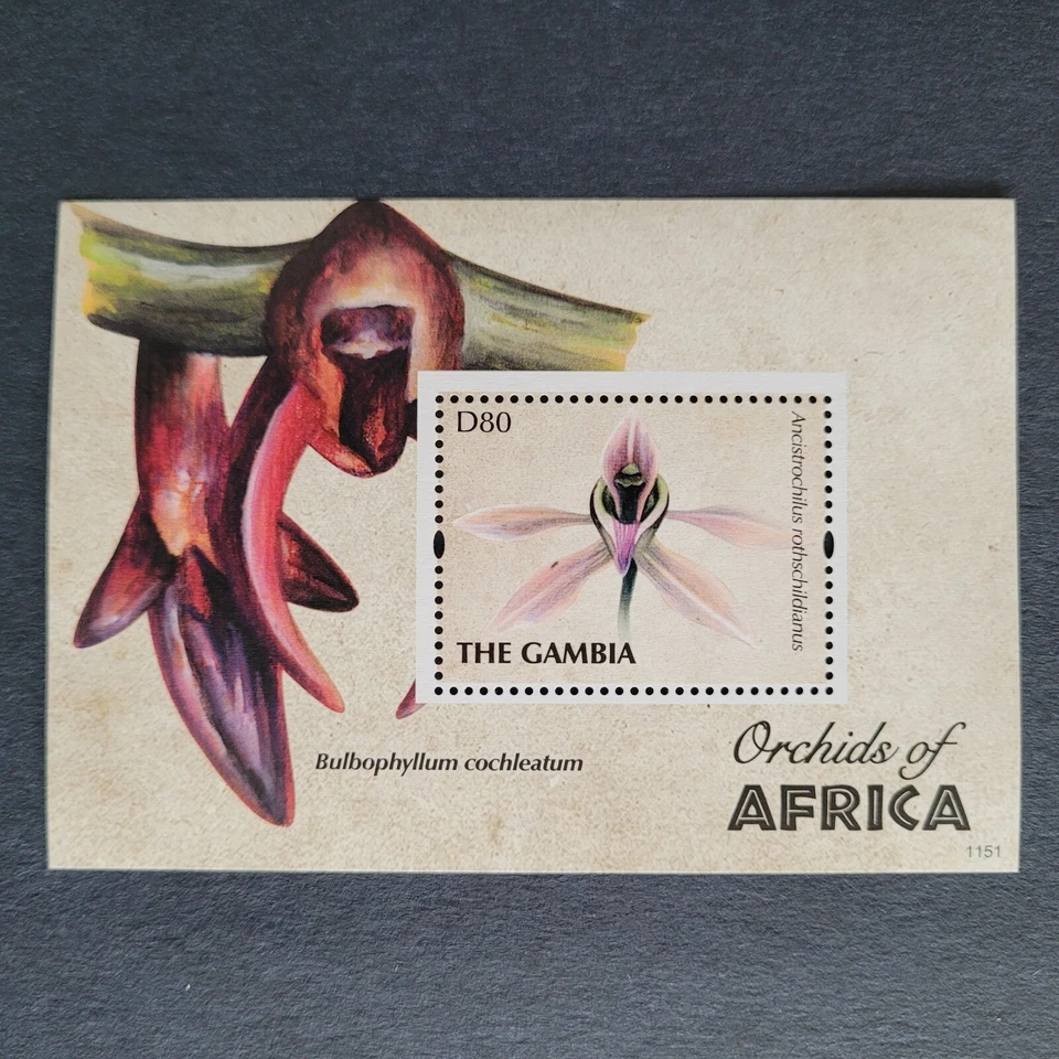 Gambia 2011 / Flores - Orquídeas de África / 1v ms Foto 1 de 1