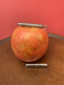 Miniature Propelling Silver pencil Stunner C1880 High Quality Engine Turned - Picture 1 of 12