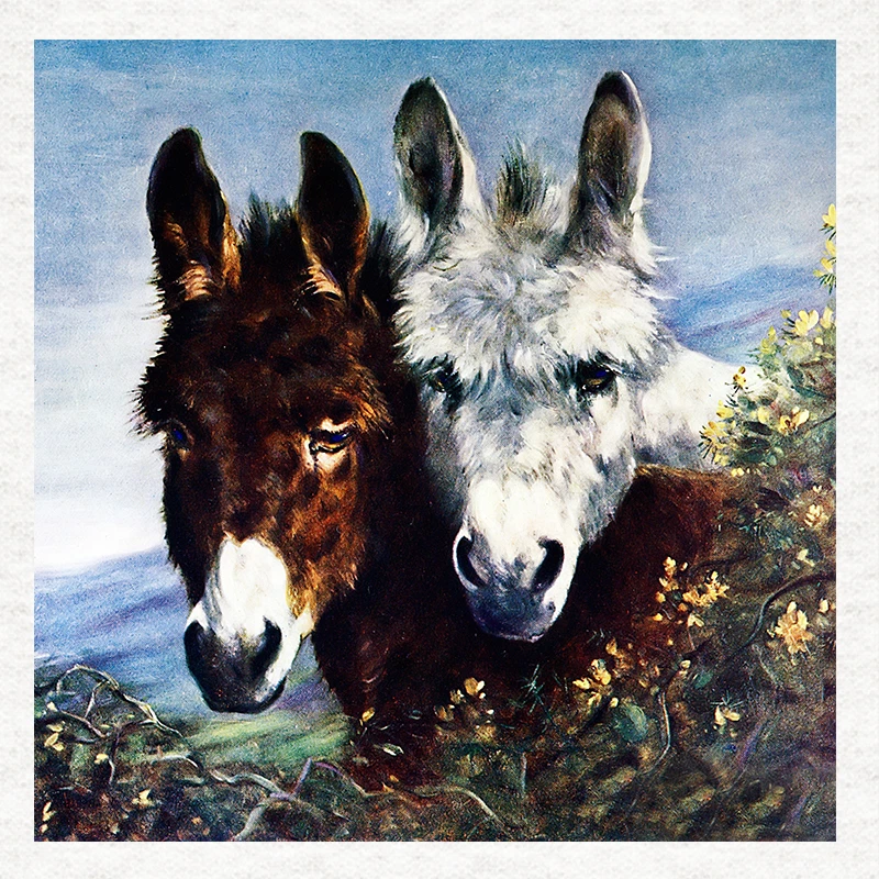 MOONLAKE FABRICS Esel - Esel Portraits - Stoff Bastelpaneele in 100% Baumwolle oder Polyester