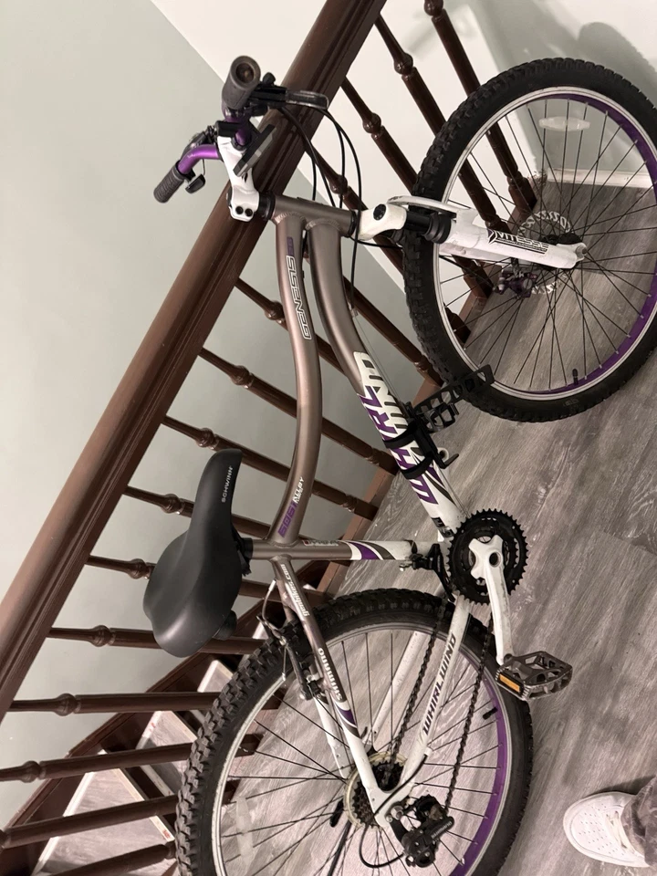 26英寸Genesis旋风山地自行车,26英寸车轮,成人14岁+,灰色 — 第 1/1 张图片