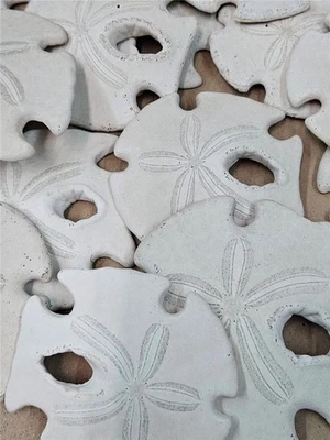 20 Vtg Florida Golf Coast White Sand Dollar Seashell Nautical Ocean Decor 3-4" D - Image 1 of 2