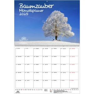Baumzauber Planer DIN A2 Kalender für 2025 Baum Bäume Wald Natur- Seelenzauber - Bild 1 von 1