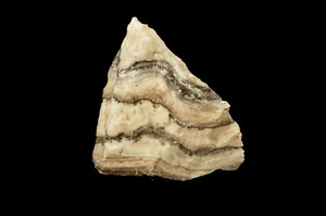Piedra preciosa áspera de curación de chakra raíz natural de ónix cebra 3" 4-7 OZ - Imagen 1 de 4