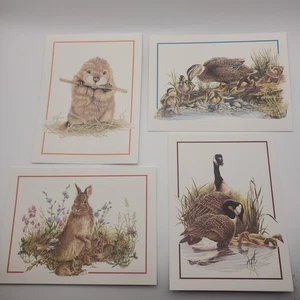 12 carte vuote vintage attuali della fauna selvatica americana con buste - Foto 1 di 20