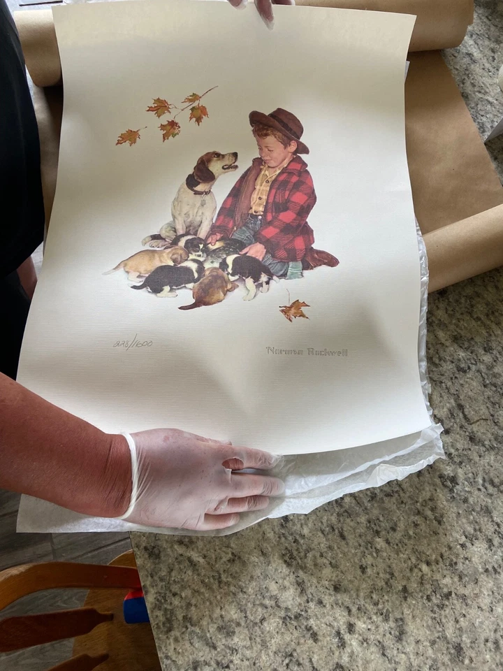 Norman Rockwell estampado. 1 de solo 600 impresos Foto 1 de 1