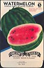 Fruit Seed Pack Empty Lone Star Vintage 1940's San Antonio TX Watermelon Diamond