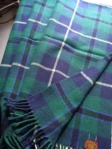 Wolldecke Plaid grünblau mit Fransen 100% Wolle Ladage & Oelke Hamburg 150x180cm - Bild 1 von 8