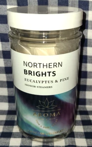 ALL NEW Eucalyptus + Pine NORTHERN BRIGHTS Shower Steamers Bath & Body Works - Picture 1 of 1