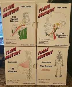 4 Flash Anatomy Flash Cards: Bones/Spinal Nerves/Muscles/Muscular Systems - Picture 1 of 2