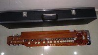 Beautiful Kindenryu SATSUKI Electric Taisho Koto (Taishogoto) + Hard Case (#10)